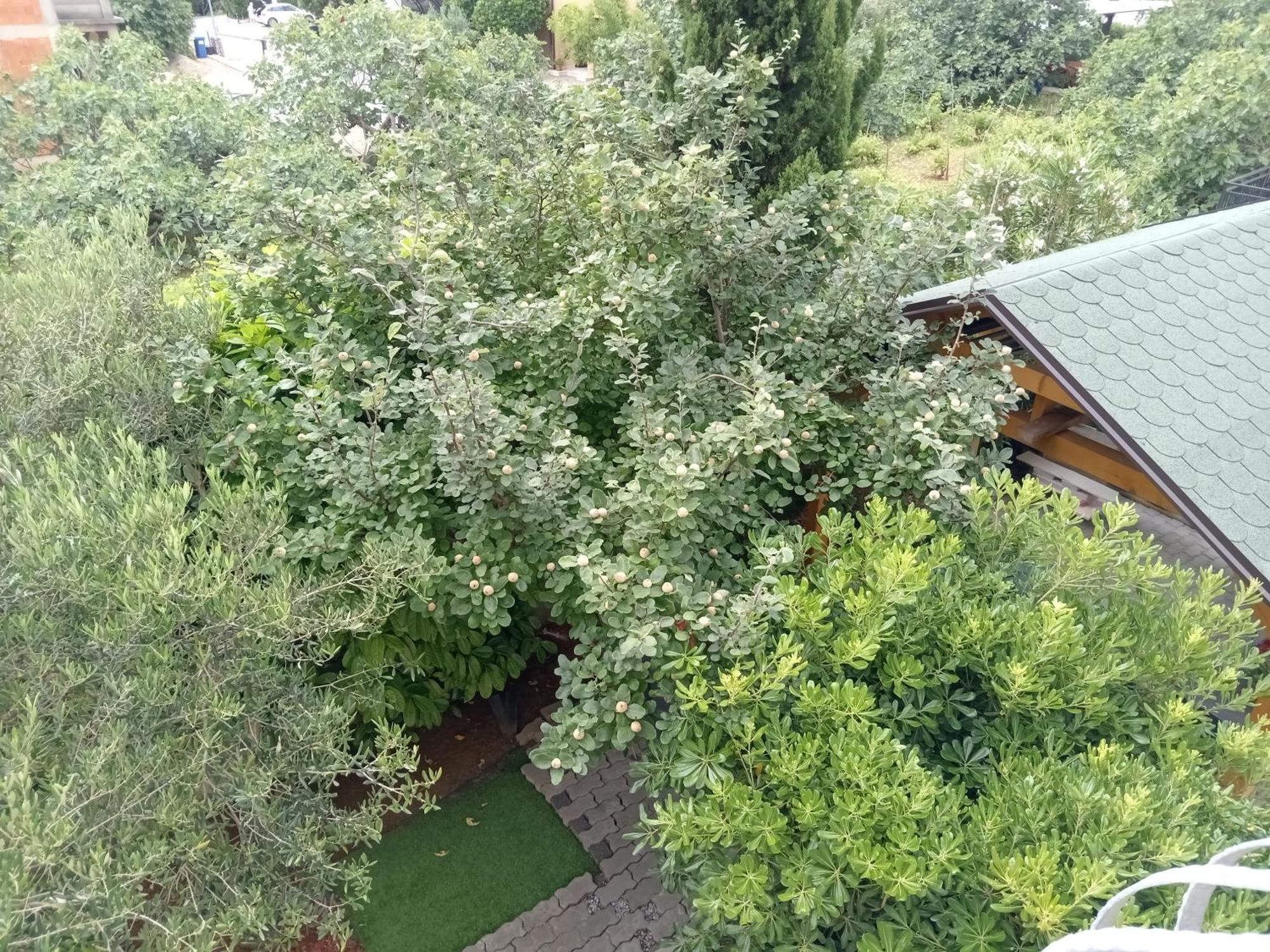 Ana Rooms Krk Town Esterno foto